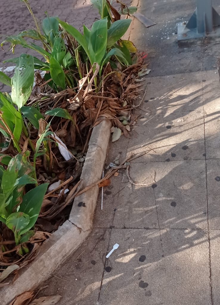 CDL Campo Grande registra descaso da limpeza urbana na região central neste sábado CDL Campo Grande registra descaso da limpeza urbana na região central neste sábado
